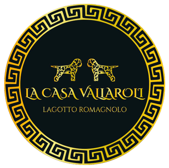 De La Casa Vallaroli